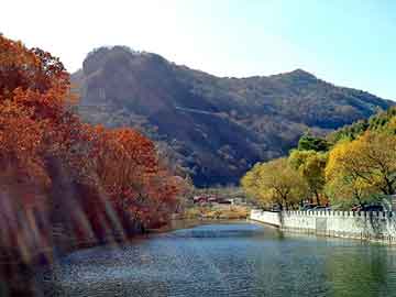 新澳天天开奖资料大全旅游团，粉碎机规格